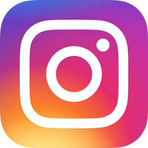 Ig Logo