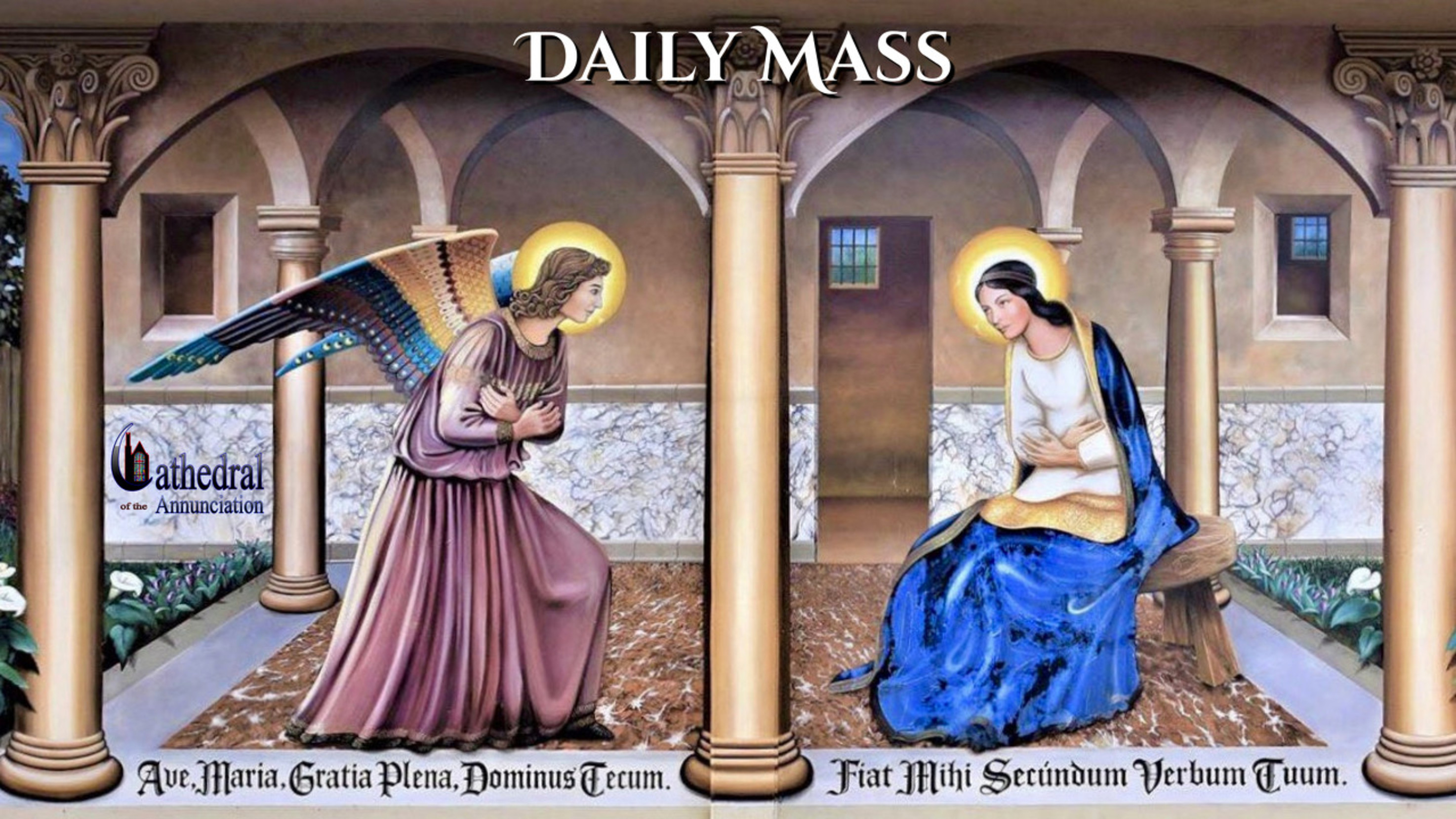 mass daily numbers