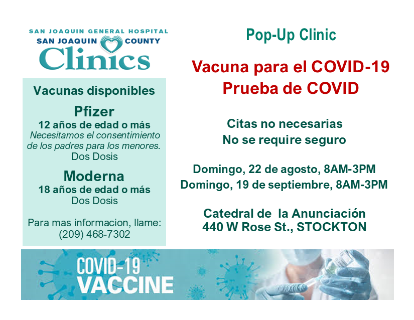 082221 Cathedral Of The Annunciation Postcards Span