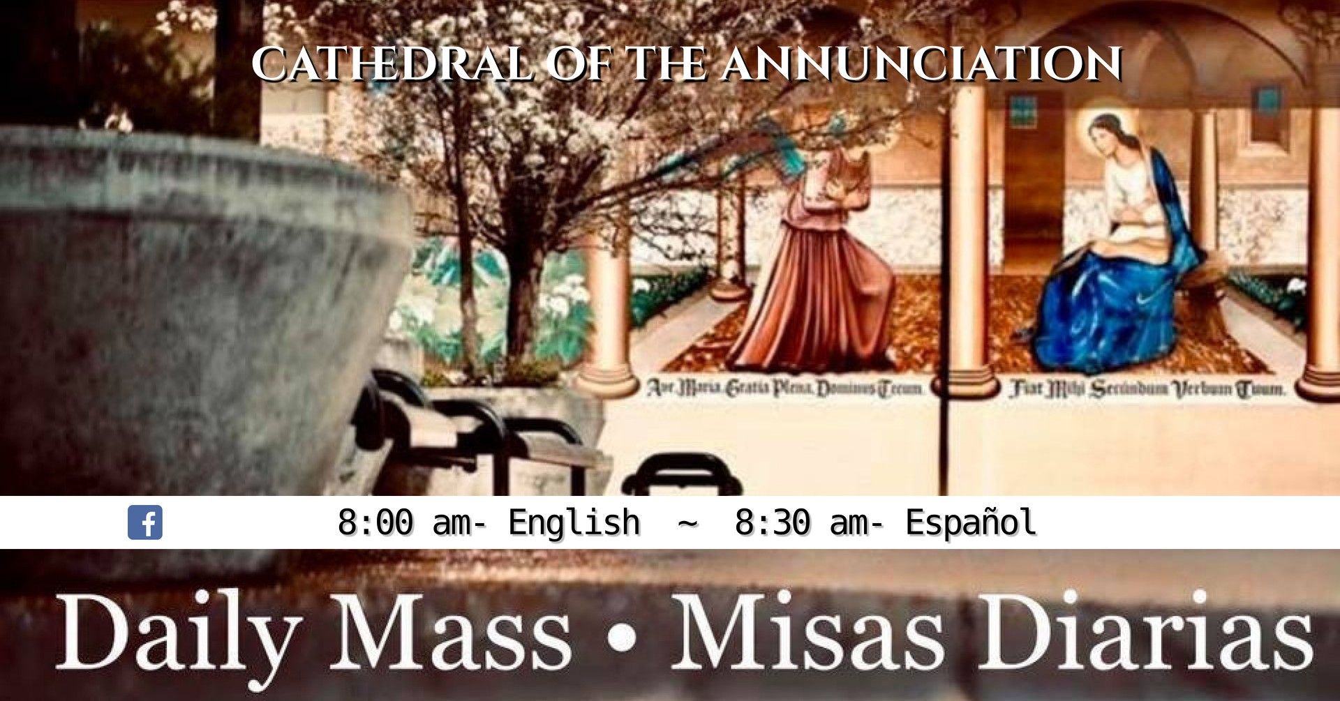 Daily Mass