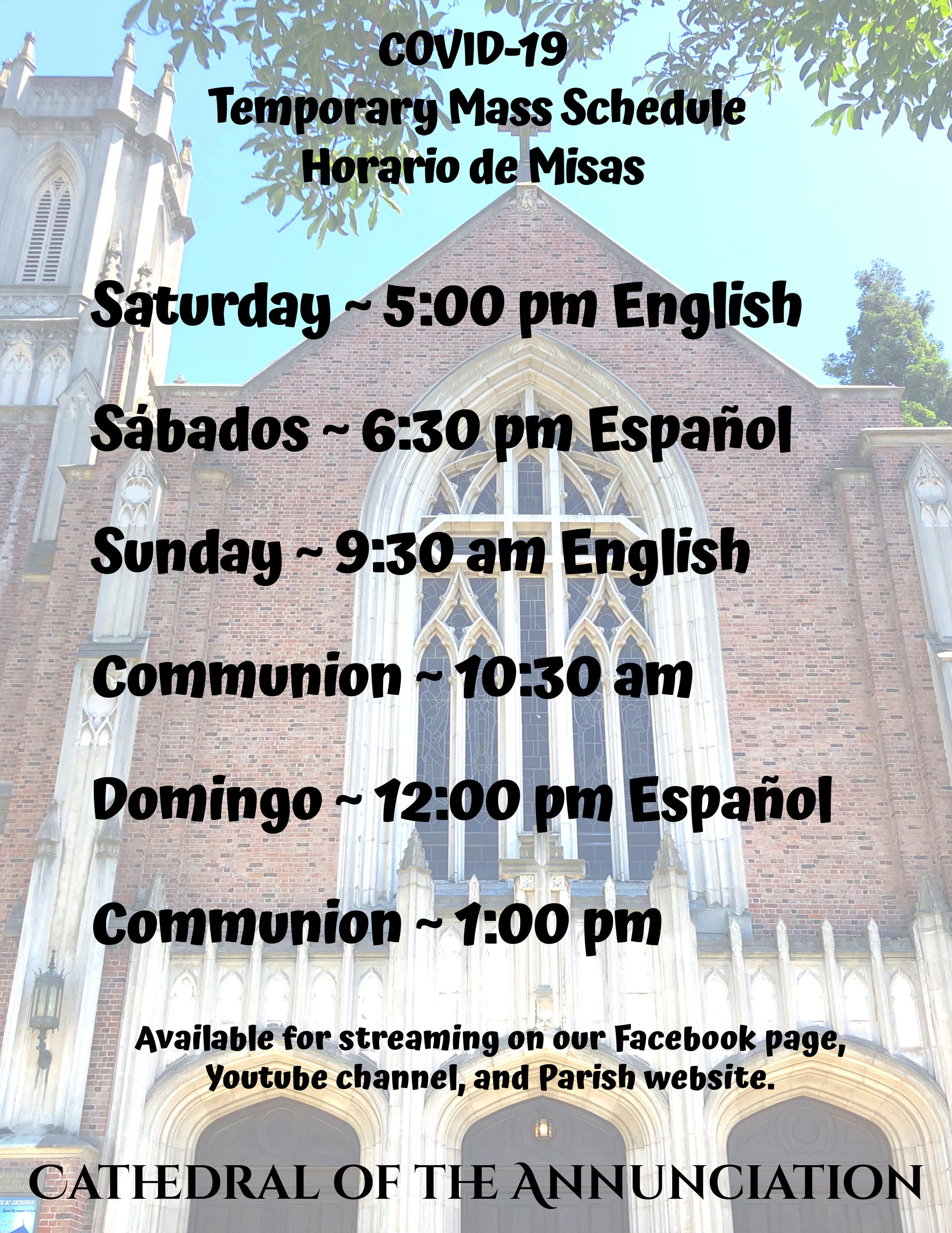 Mass Schedule