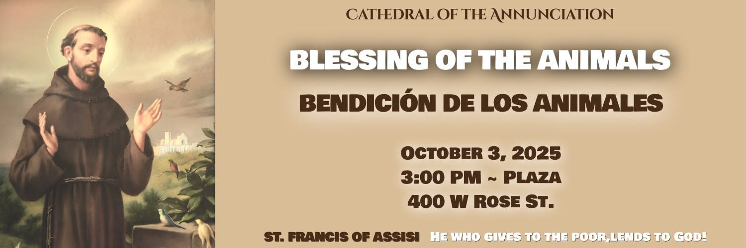 St Francis Of Assisi Blessing 1