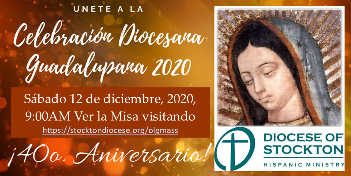 olg 2020 Esp